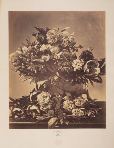 Nature morte avec pivoines - Charles Aubry